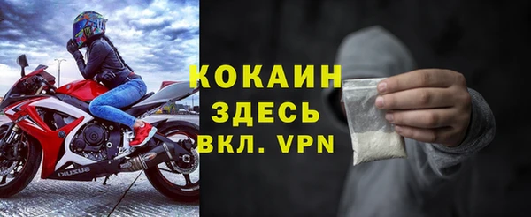 индика Новодвинск