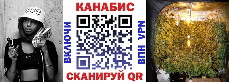 Бошки Шишки индика  где купить наркоту  Пустошка 